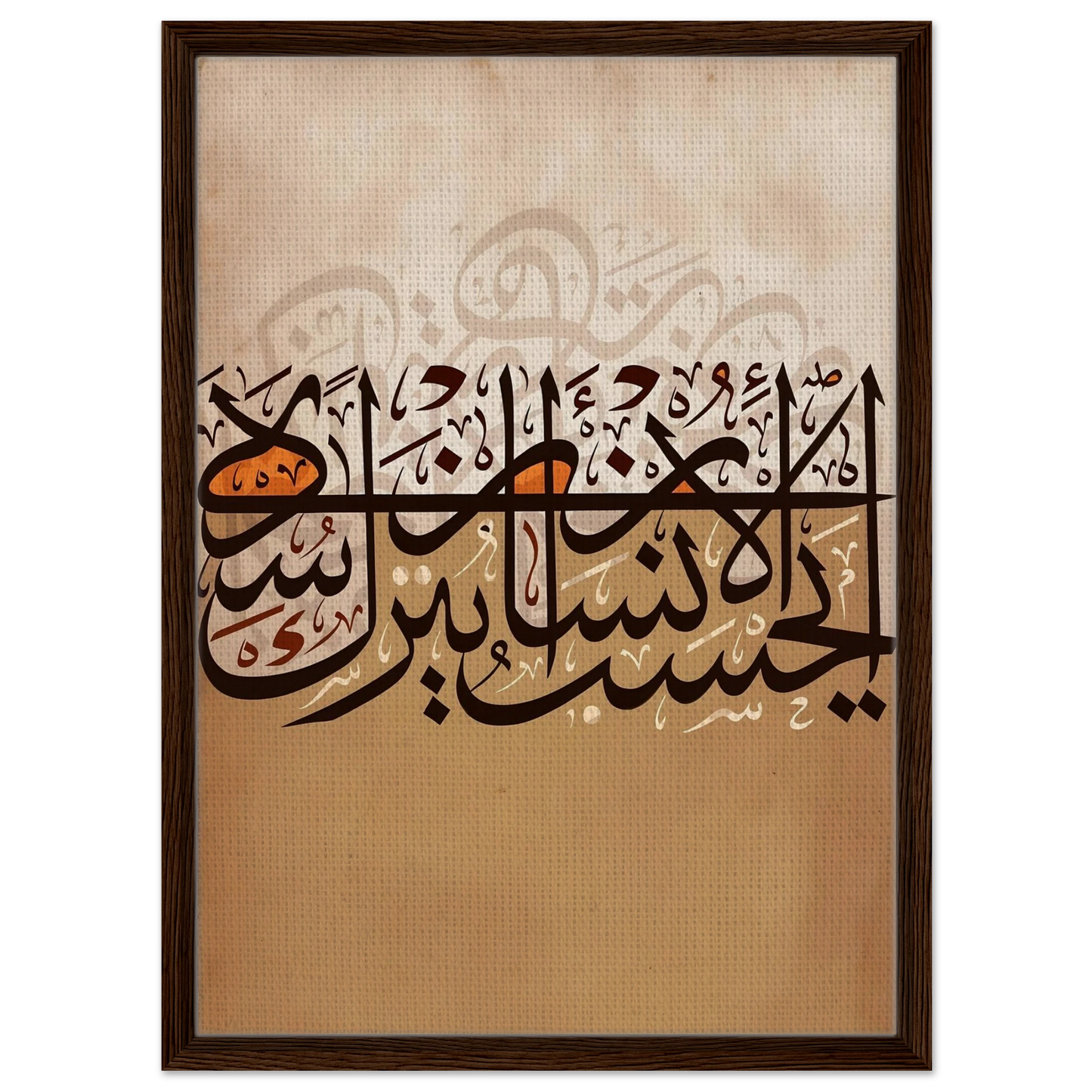 3c115942-b7b1-4cbb-a846-4b35be86d2bd