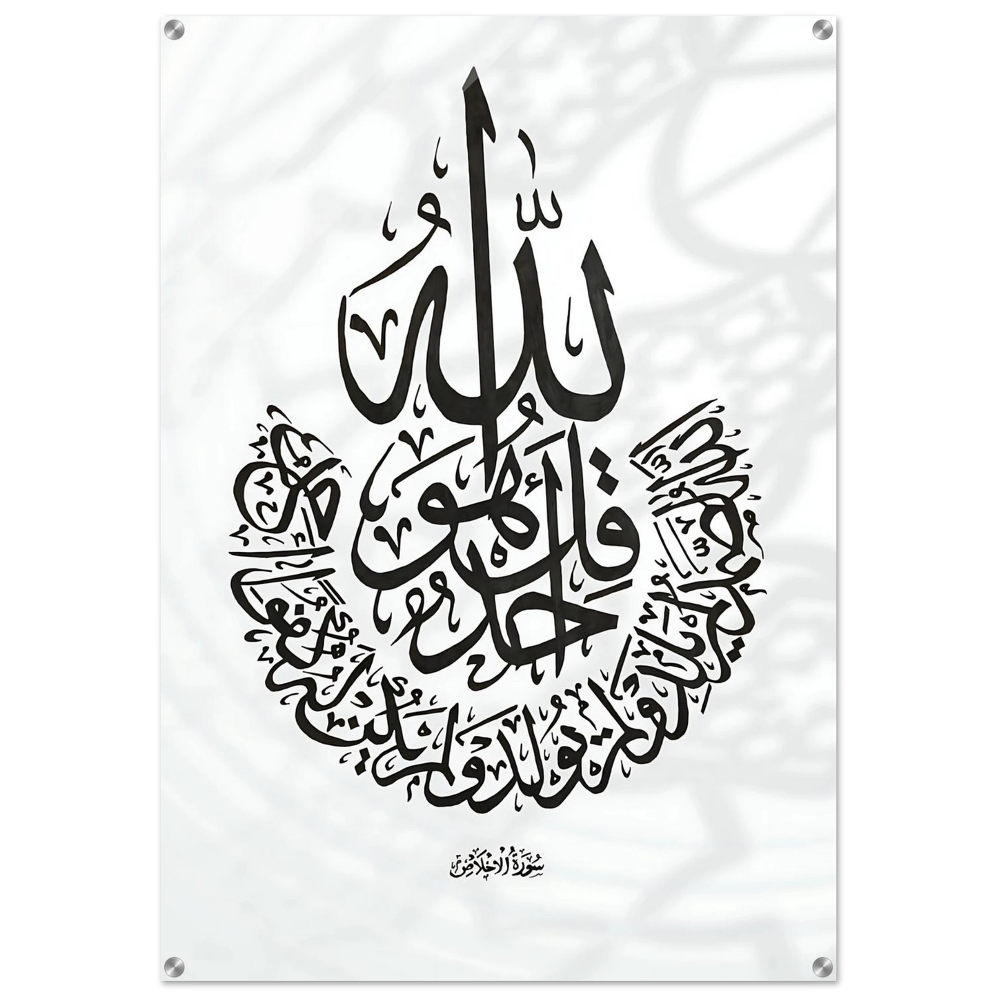 5bdba2b2-8b27-42f6-b0a5-d1e3337ba42d