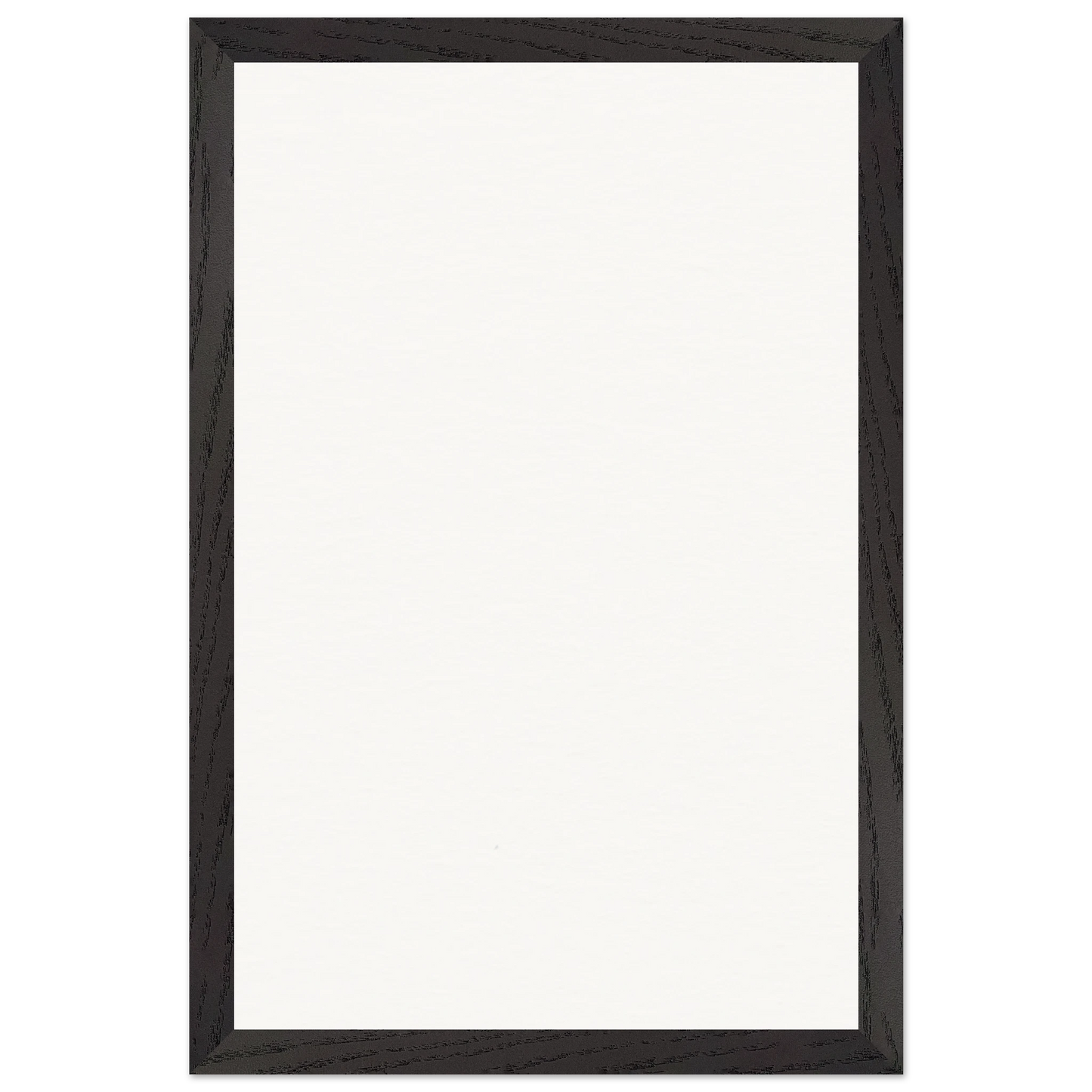 6593ce37-14f9-4953-b21b-18eb16adbe8e