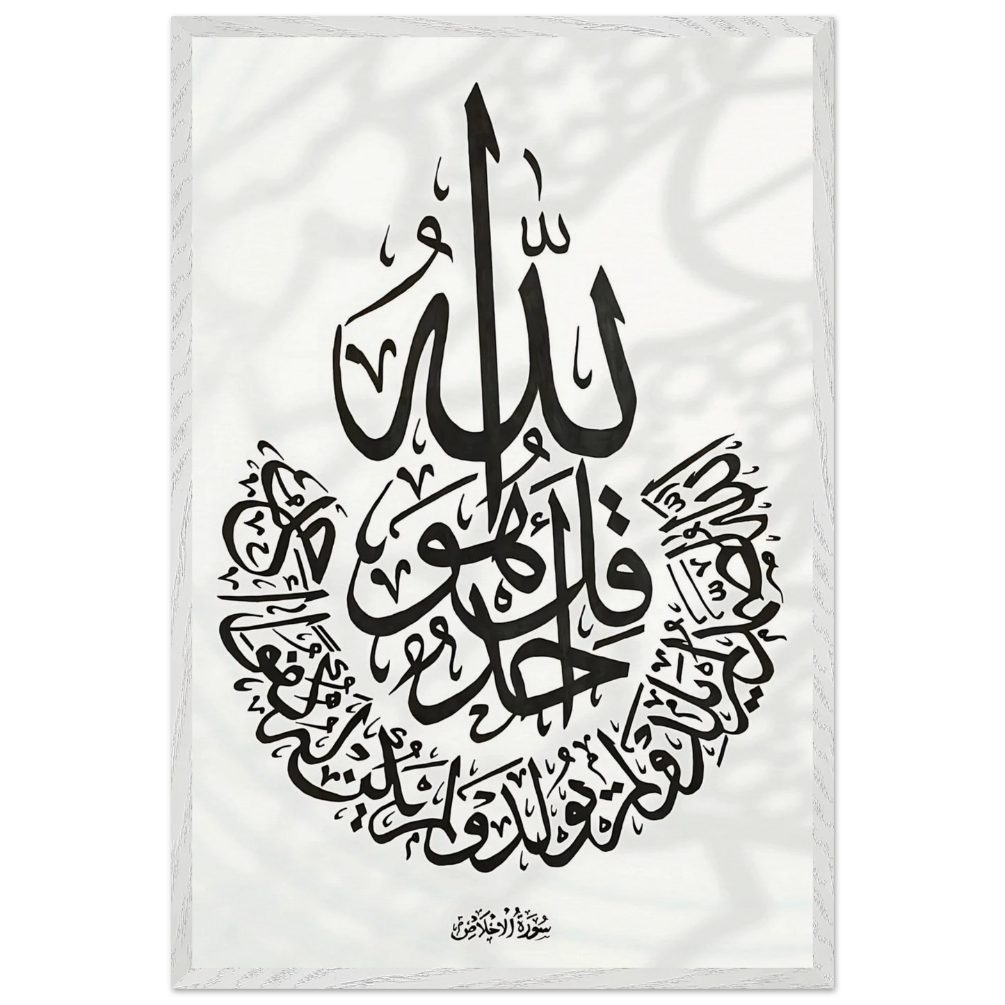 74aac169-20c9-41e0-8123-5cc852546e74