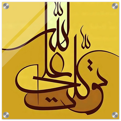 c0b8acc9-beb7-4bb5-881b-c31b256d2d50