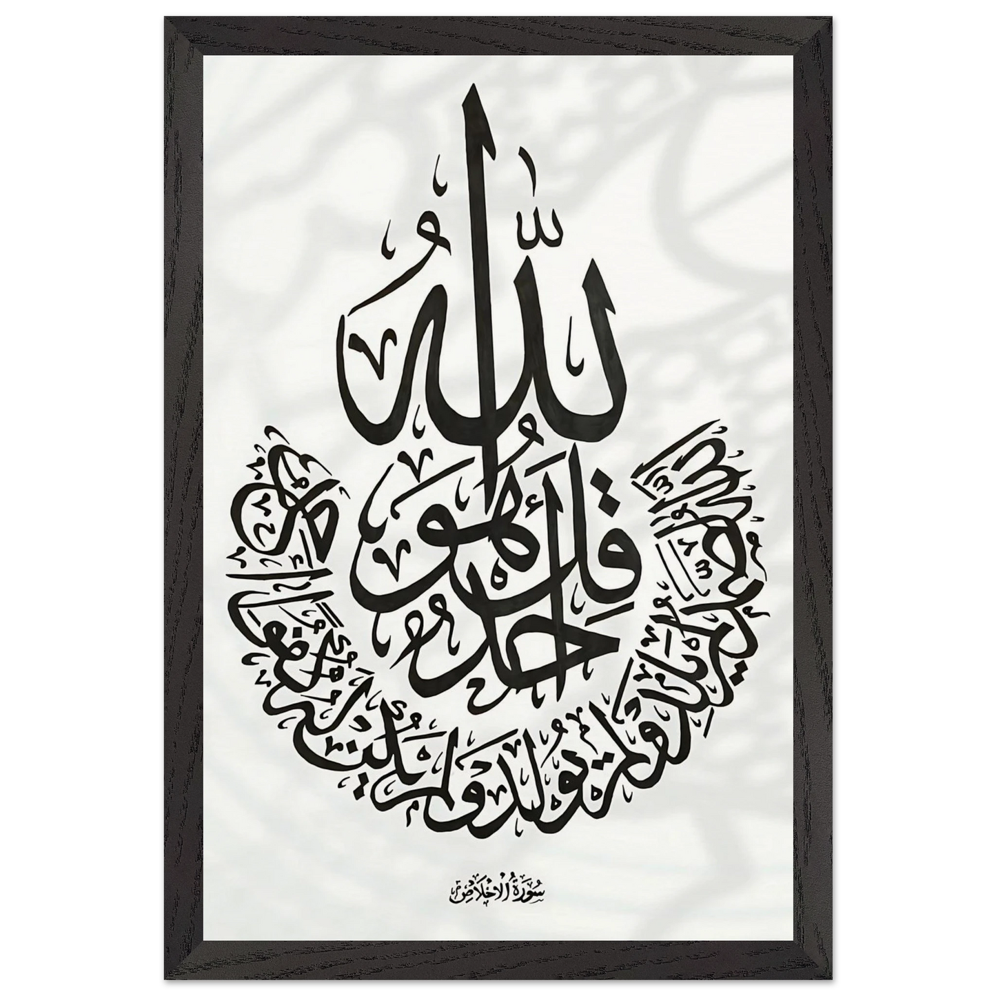 c8559a16-06e4-4be7-868a-fd6b3b4e74de