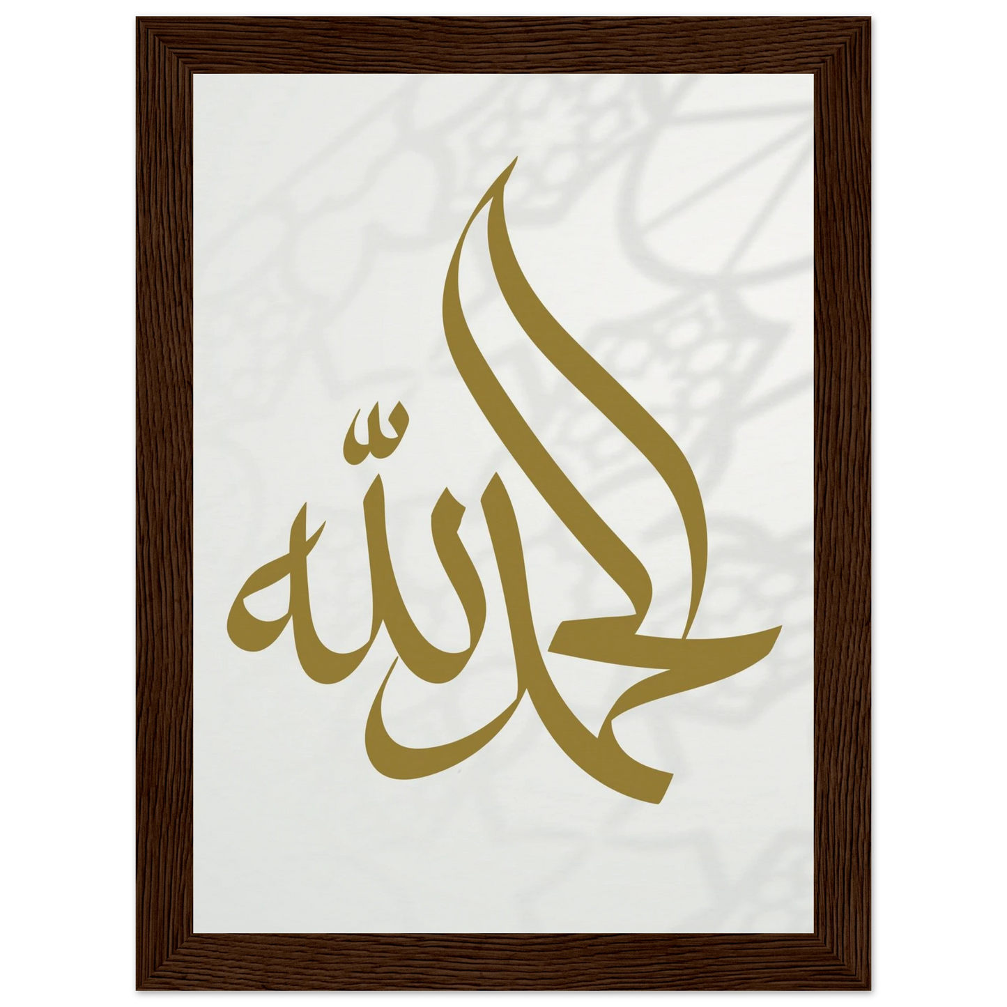 d6e54347-b815-4694-8f4e-08c506a35c5d